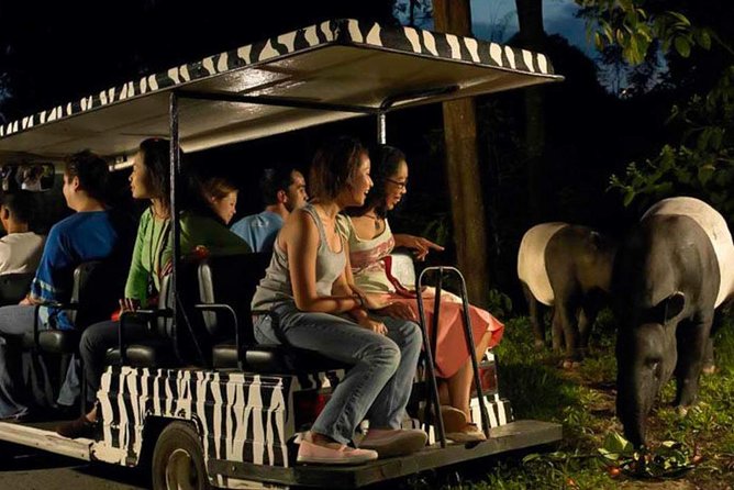 Singapore Zoo & Night Safari Day ( Tickets & Transfer ) - Booking details worth checking before you go