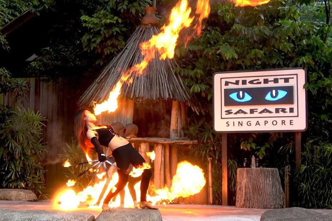 Singapore Zoo & Night Safari Day ( Tickets & Transfer ) - Moving into Night Safari after sunset