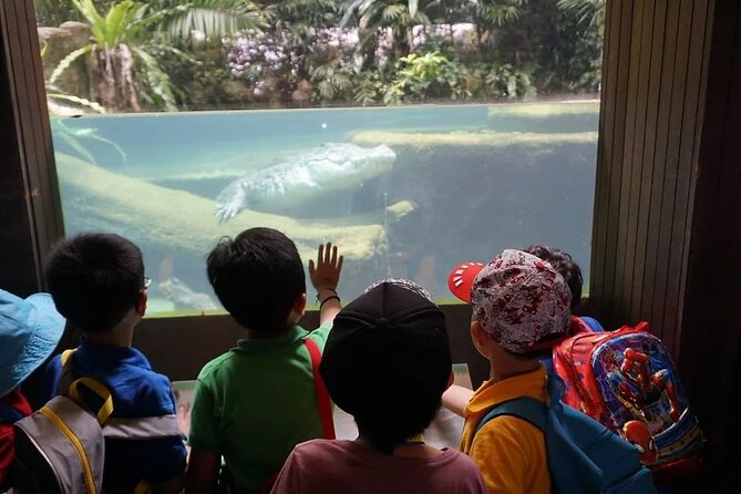 Singapore Zoo with Tram Ride Experience for Tourist - Why the Singapore Zoo tram matters