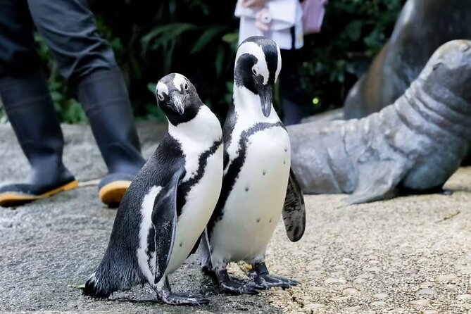 Singapore Zoo with Tram Ride Experience for Tourist - How long to allow for the visit