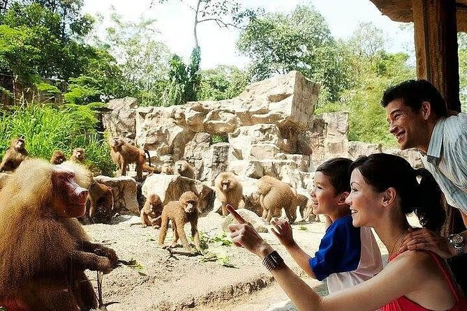 Singapore Zoo with Tram Ride Experience for Tourist - Entering a zoo with 300 species to find