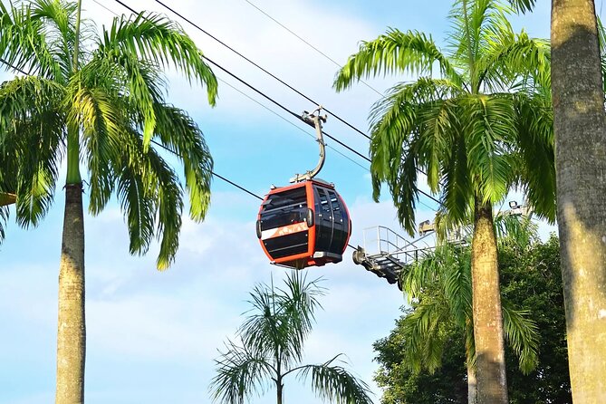 Skip the Line: Singapore Cable Car Sky Pass (Round-Trip) - Sentosa Line: three useful stops