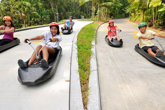 Skyline Luge and Skyride Admission Ticket sentosa Singapore - What the visit feels like for families and mixed groups