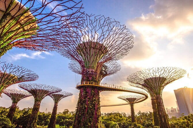 Small Group Singapore Morning City Tour with Gardens By The Bay - Three hours that connect old and new Singapore