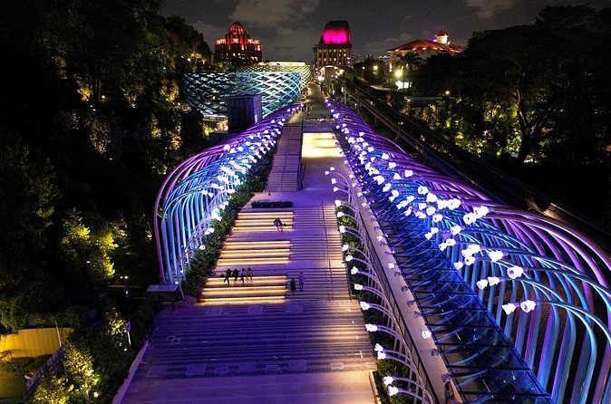 (Small Group) Starry Night Singapore Sentosa Tour - What the guide adds to the night