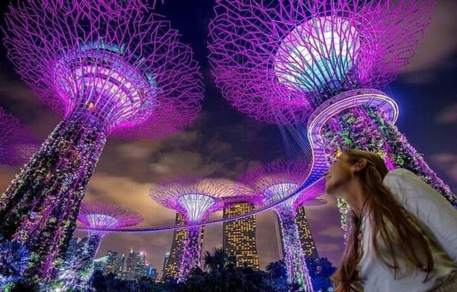 Spectra & Garden Rhapsody Shows with Singapore River Cruise - Key points at a glance