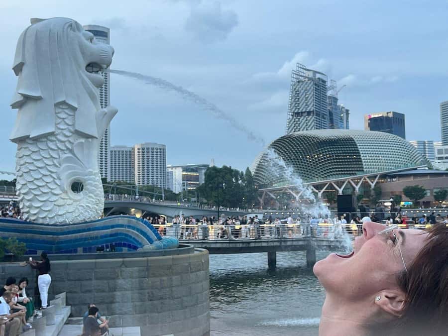 Spectra & Garden Rhapsody Shows with Singapore River Cruise - Why this night tour works for a short Singapore stay