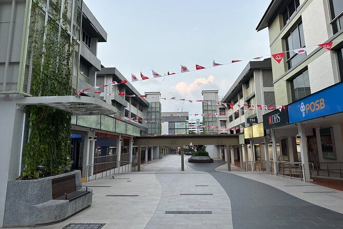 The Real Singapore Heartland Walking Food Tour - Who will enjoy this heartland experience