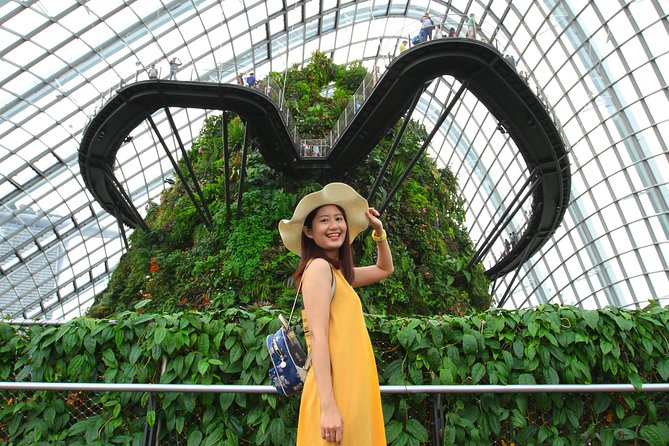 Vacation Photographer in Singapore - Supertree Grove for the boldest backdrop